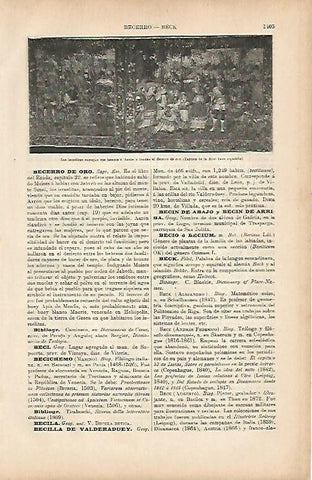 LAMINA ESPASA 9867: Tapiz de la Casa Real
