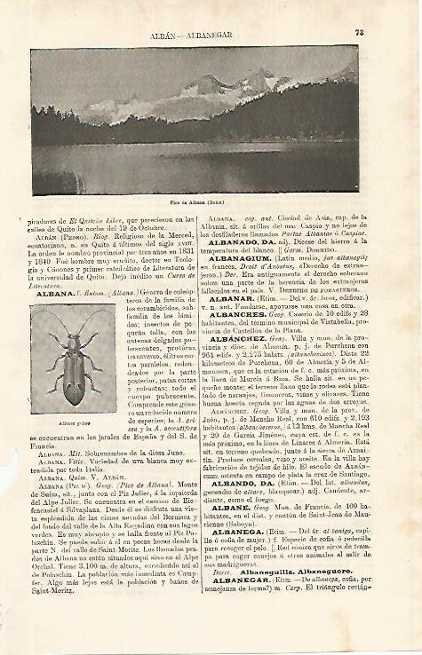 LAMINA ESPASA 9926: Pico de Albana Suiza