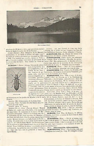LAMINA ESPASA 9926: Pico de Albana Suiza