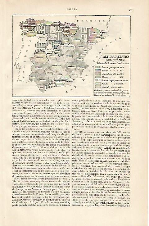 LAMINA ESPASA 10156: Altura relativa del craneo en España