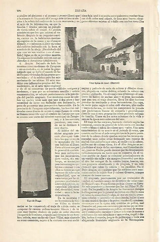 LAMINA ESPASA 10170: Casa tipica de Anso Huesca