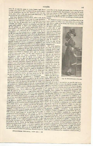 LAMINA ESPASA 10181: Tipo de Montehermoso Caceres