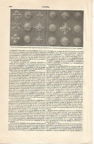 LAMINA ESPASA 10370: Clavos de tipo español desde el siglo XIV al XVI