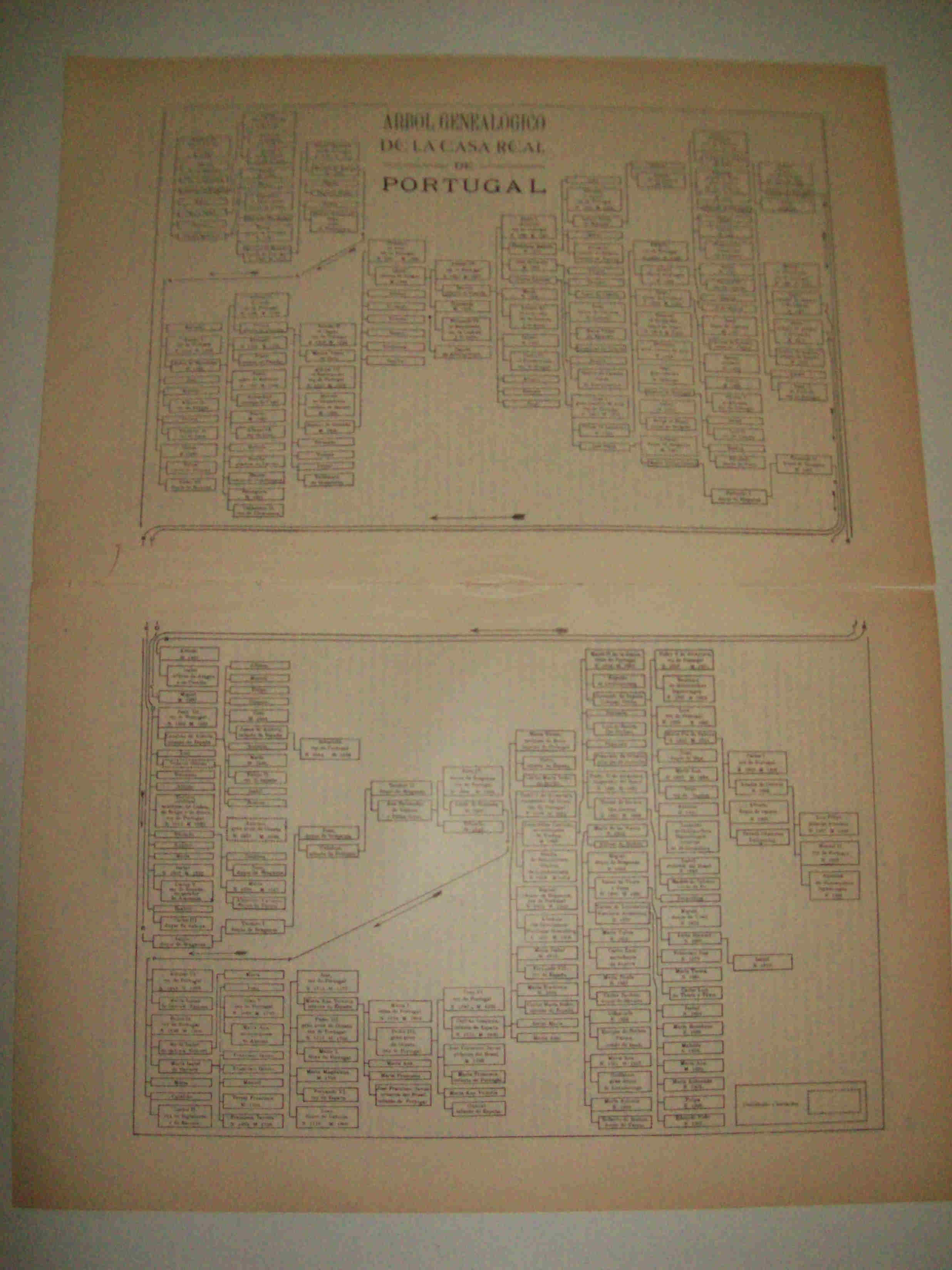 LAMINA ESPASA 10581: Arbol genealogico de la Casa Real de Portugal