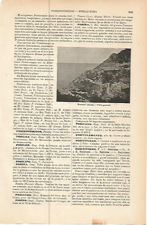 LAMINA ESPASA 10592: Vista de Positano Italia