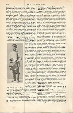 LAMINA ESPASA 10594: Postillon ruso