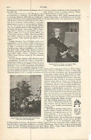 LAMINA ESPASA 10610: Pablo Potter