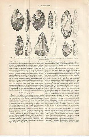 LAMINA ESPASA 10667: Utensilios musterienses de Cueva del Castillo