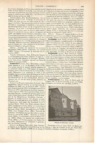 LAMINA ESPASA 10678: Palacio de Nadejdino Rusia