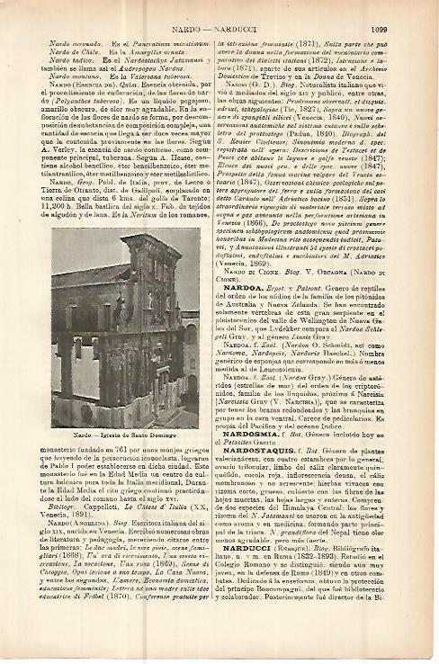 LAMINA ESPASA 10736: Iglesia de Santo Domingo en Nardo Italia