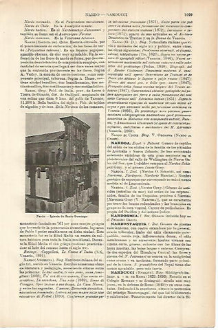 LAMINA ESPASA 10736: Iglesia de Santo Domingo en Nardo Italia