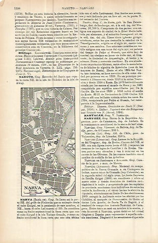 LAMINA ESPASA 10738: Plano de Narva Finlandia