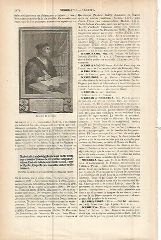 LAMINA ESPASA 10781: Antonio de Nebrija