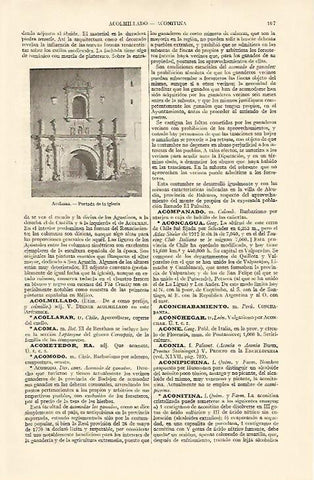 LAMINA ESPASA 10801: Iglesia de Acolman Mexico