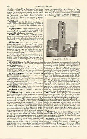 LAMINA ESPASA 10862: Catedral de Anagni Italia