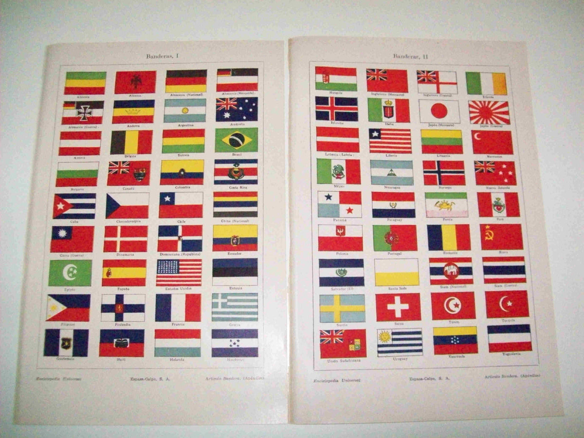LAMINA ESPASA 10945: Banderas del mundo