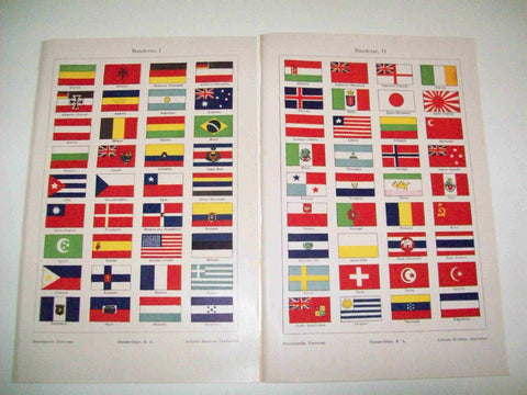 LAMINA ESPASA 10945: Banderas del mundo
