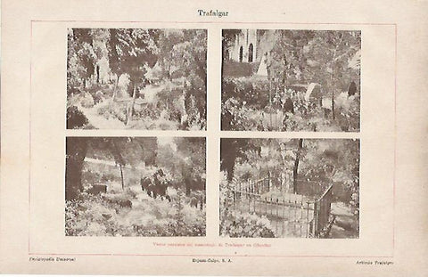 LAMINA ESPASA 11036: Cementerio de Trafalgar en Gibraltar