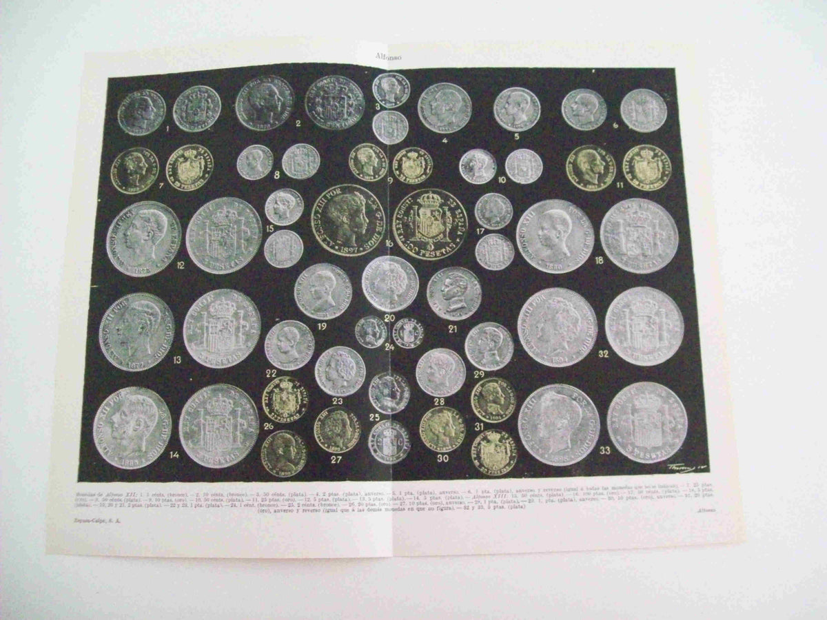 LAMINA ESPASA 11193: Monedas de Alfonso XII