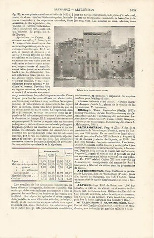 LAMINA ESPASA 11283: Palacio de los Altovili en Roma