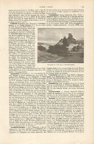 LAMINA ESPASA 11359: El castillo de Corfe por Percival