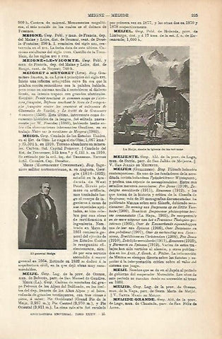 LAMINA ESPASA 11595: Vista de La Meije Alpes