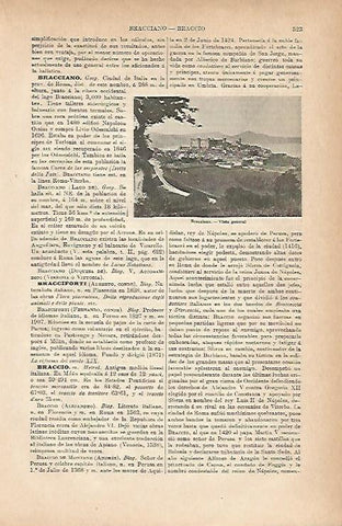 LAMINA ESPASA 11704: Vista general de Bracciano Italia