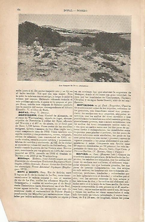 LAMINA ESPASA 11775: Los campos de Booz Palestina