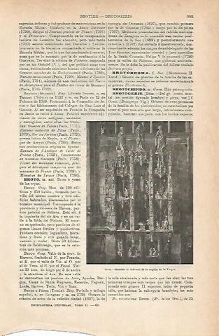 LAMINA ESPASA 11786: Retablo de la capilla de la Virgen en Brou Francia