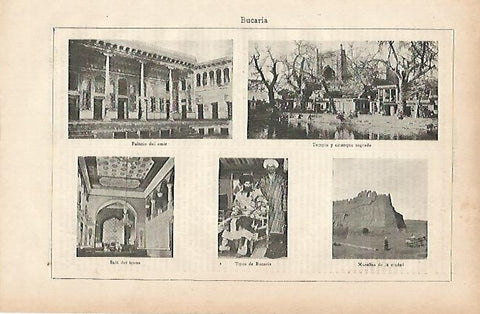LAMINA ESPASA 11838: Vistas de Bucaria