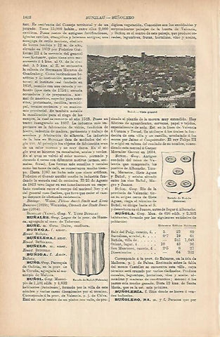 LAMINA ESPASA 11892: Vista general de Buñol. Valencia