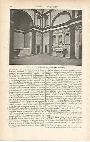 LAMINA ESPASA 11935: Interior de la Capilla Medicea por Miguel Angel