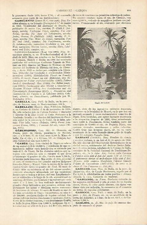 LAMINA ESPASA 11954: Oasis de Gabes Tunez