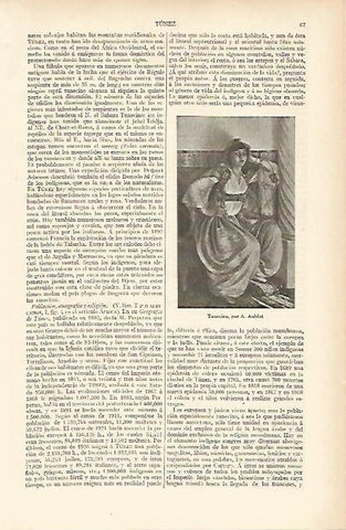 LAMINA ESPASA 11963: Tunecina por A. Aublet