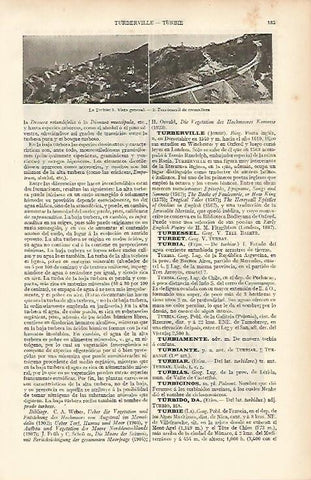 LAMINA ESPASA 11988: Vistas de La Turbie Francia