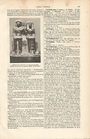 LAMINA ESPASA 12079: Estatua de Tutmosis IV y la reina Tiaa