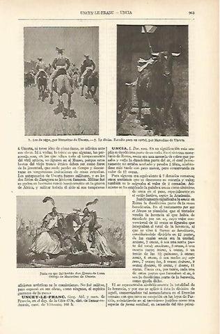 LAMINA ESPASA 12125: Dibujos de Marcelono de Unceta