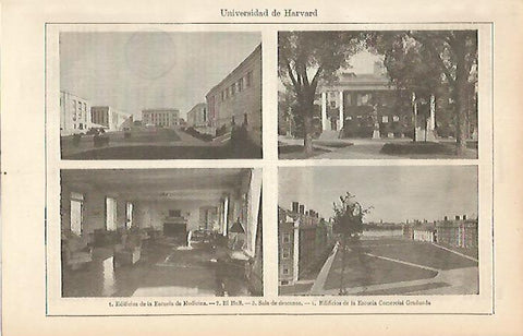 LAMINA ESPASA 12164: Universidad de Harvard