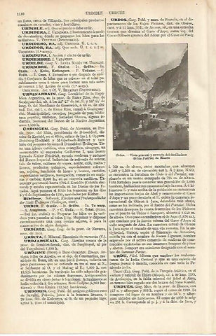 LAMINA ESPASA 12188: Vista de Urdos Francia