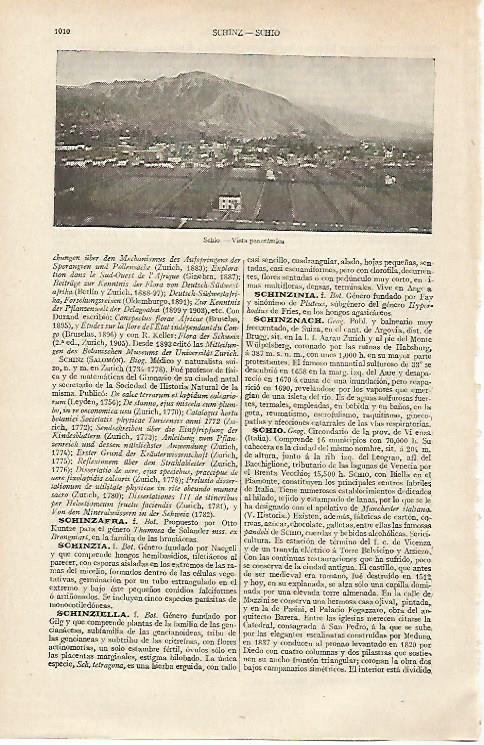 LAMINA ESPASA 12452: Vista de Schio Italia