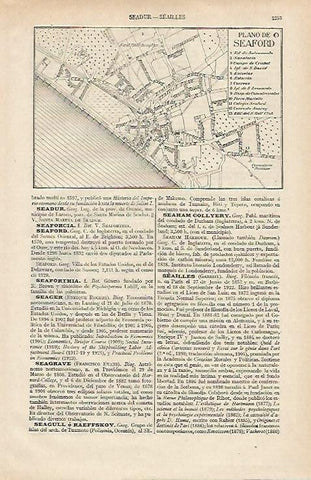 LAMINA ESPASA 12476: Plano de Seaford Inglaterra