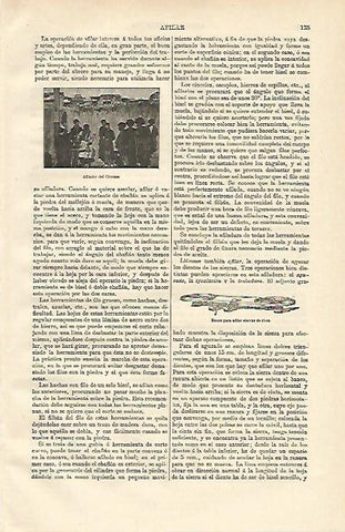 LAMINA ESPASA 12573: Afilador del Caucaso