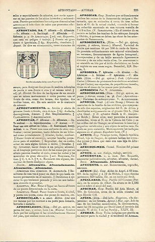 LAMINA ESPASA 12598: Escudos de las Casas Foquet y Gil