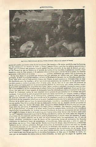 LAMINA ESPASA 12634: Agricultores por Jacobo da Ponte el Bassano