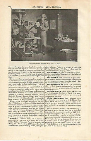 LAMINA ESPASA 12647: Aguafortista por Braekeleer