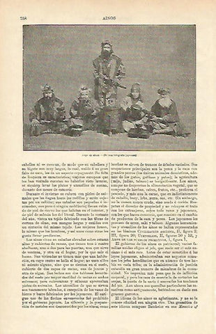 LAMINA ESPASA 12700: Grupo de ainos Japon