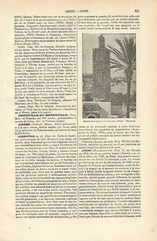 LAMINA ESPASA 12708: Mezquita de los Aissauas Tanger Marruecos