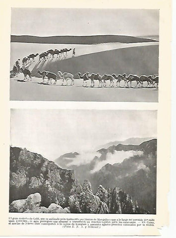 LAMINA GEOGRAFIA 0004: Desierto de Gobi