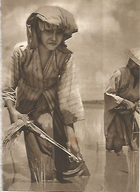 LAMINA GEOGRAFIA 0012: Mujer de Malasia dedicada al cultivo de arroz