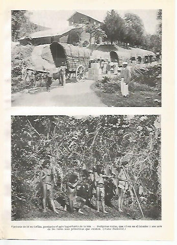 LAMINA GEOGRAFIA 0035: Factoria de te en Sri Lanka